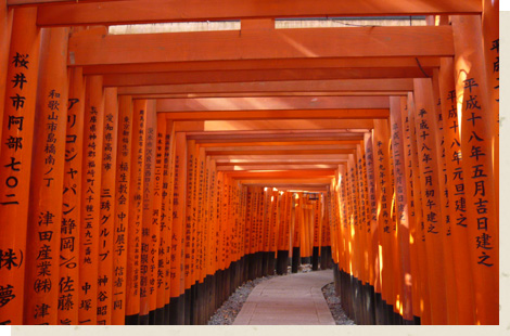 伏見稲荷大社/Fishimi Inari Shrine